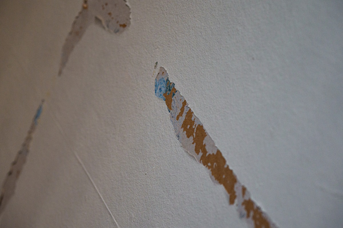 Water Extraction service in Yorba Linda, CA